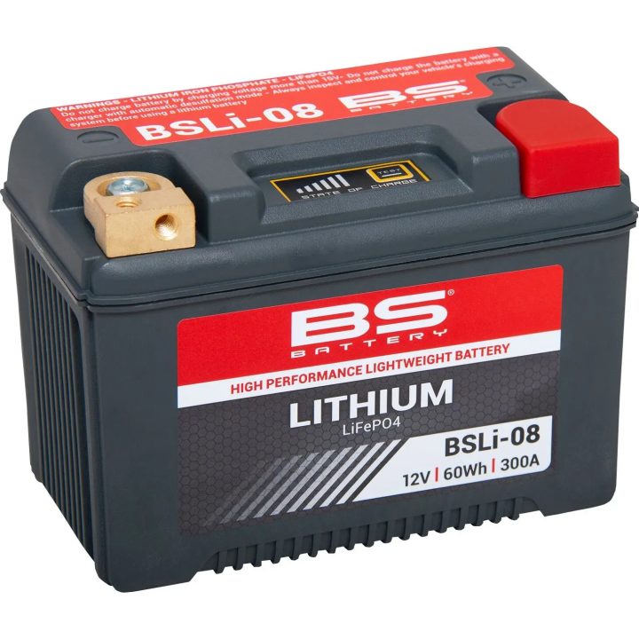 Lithium LiFePO4 Battery — 12.8 V, 5 Ah