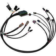 Complete EFI Wiring Harness — Harley-Davidson, Black