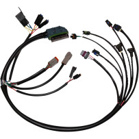Complete EFI Wiring Harness — Harley-Davidson, Black