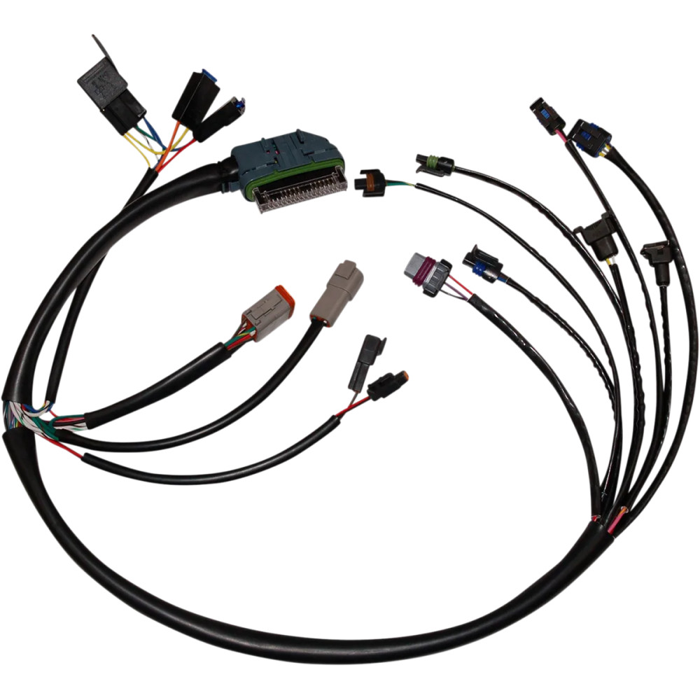Complete EFI Wiring Harness — Harley-Davidson, Black
