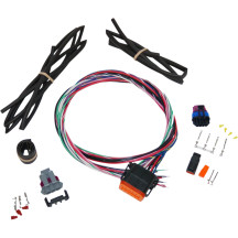 Twin Cam Ignition Harness — fits '04–'06, standalone