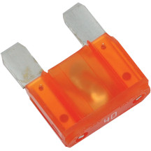 Replacement Fuses — 12V, 40A