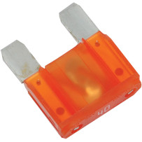 Replacement Fuses — 12V, 40A