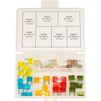 Assorted Fuse Kit — Mini, Clear