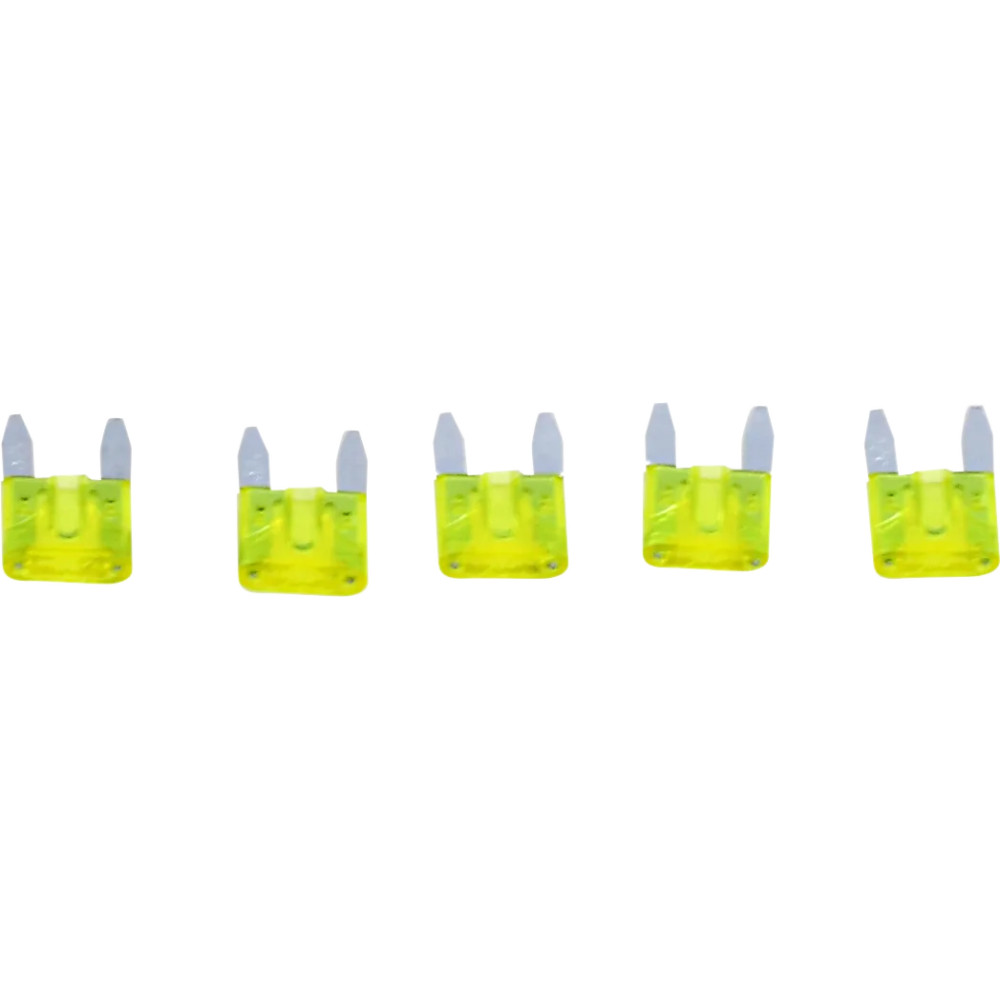 Replacement Fuses — 20 A, 12 V, Mini