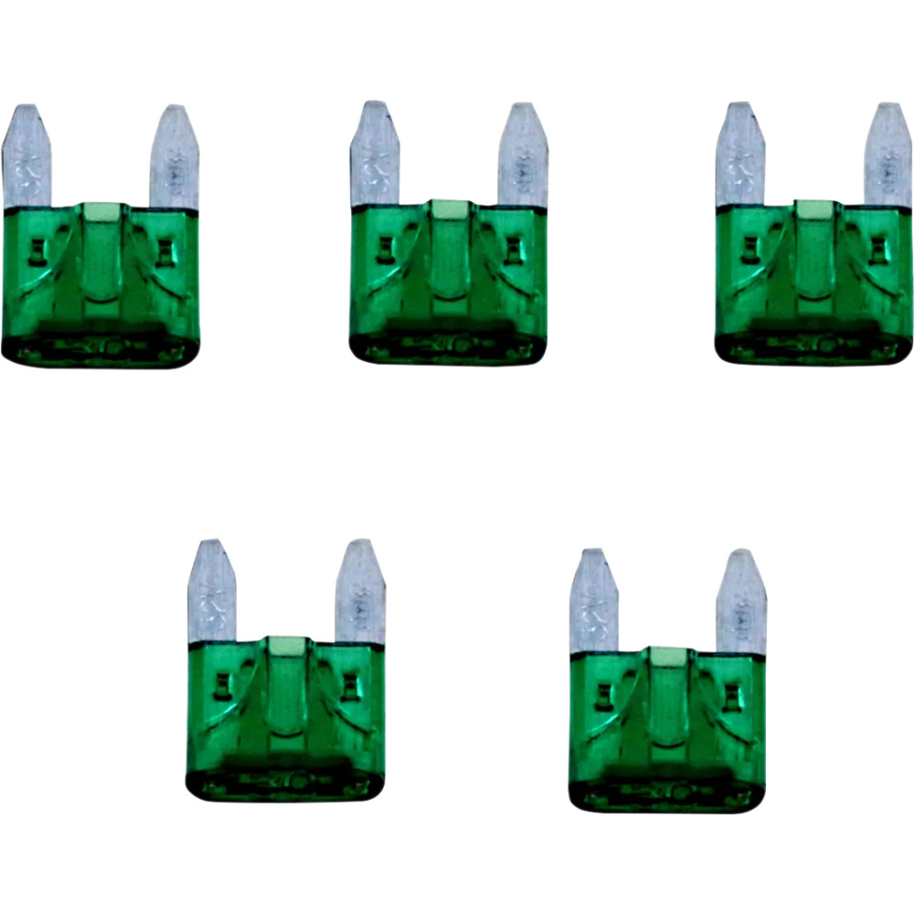 Replacement Fuses — 30A, 12V, Mini, 5-pack