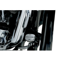 Rear Brake Master Cylinder Cover Kit — Chrome, Rear