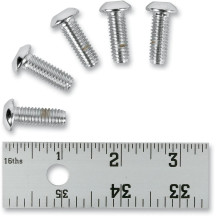 Disc Brake Rotor-To-Hub Kit — 5/16-18 thread, 22.2 mm (7/8") length, Chrome