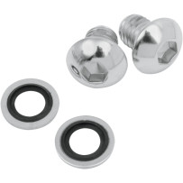 Fork Drain Screw Kit — Fork Slider, Silver