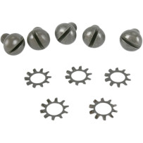 Wheel Hub Outer Screw Kit — Parkerized, Silver