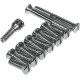 Kit de tornillos para la tapa superior de la transmisión — 2× 1/4"-24 largo, 11× 1/4"-24 corto, 1× respiradero, cromado