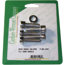 Caliper Mounting Bolt Kit — Silver, Rear