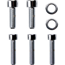 Caliper Mounting Bolt Kit — Silver, Rear