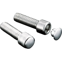 Custom Hot Spots™ End Plug — 1/4", For Allen Head, Silver