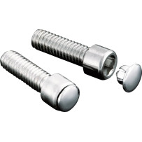 Custom Hot Spots™ End Plug — 1/4", For Allen Head, Silver