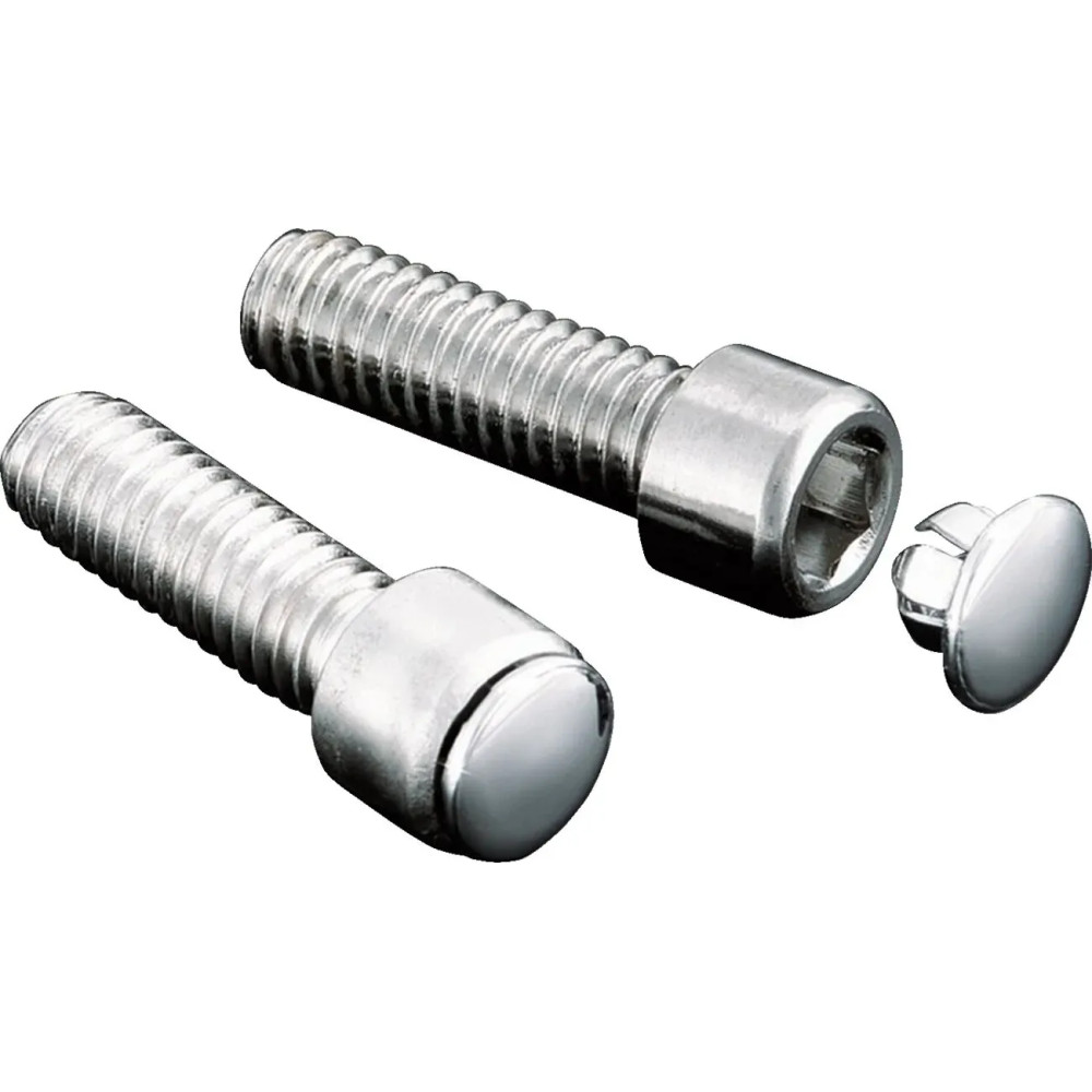 Custom Hot Spots™ End Plug — 1/4", For Allen Head, Silver