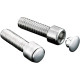 Tapón Final Custom Hot Spots™ — 1/4", para tornillos Allen, plateado