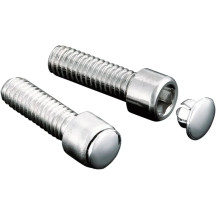 Custom Hot Spots™ End Plug — 1/4", For Allen Head, Silver