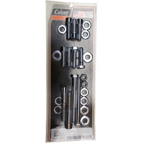 Motor Mount Bolt Kit — chrome polished