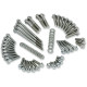 Kit de tornillería de motor 12 puntos — ajuste para primaria externa y transmisión no compatible con modelos '23 con 121" VVT motors
