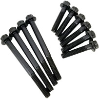 Cam Plate and Oil Pump Fastener Kit — 12-point flange, chromoly steel, black oxide