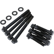Cam Plate and Oil Pump Fastener Kit — oil pump, cam plate, black oxide
