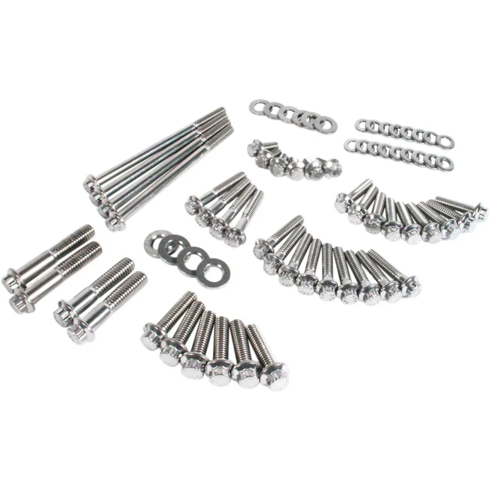 Dress-Up 12-Point External Primary/Transmission Engine Fastener Kit — 12-point, stainless steel, silver
