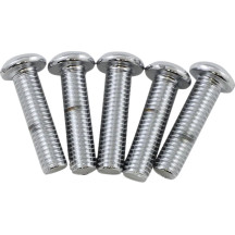 Disc Brake Bolt Kit — Rotor, Torx® socket