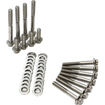 12-Point External Primary/Transmission Engine Fastener Kit — Silver, not for '23 models with 121" VVT motors