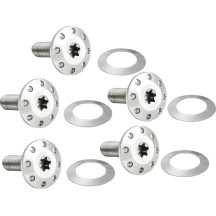 Holeshot Front Floating Brake Rotor Bolt Kit — Polished Silver, Spoke Mount