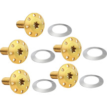 Holeshot Front Floating Brake Rotor Bolt Kit — Polished Gold