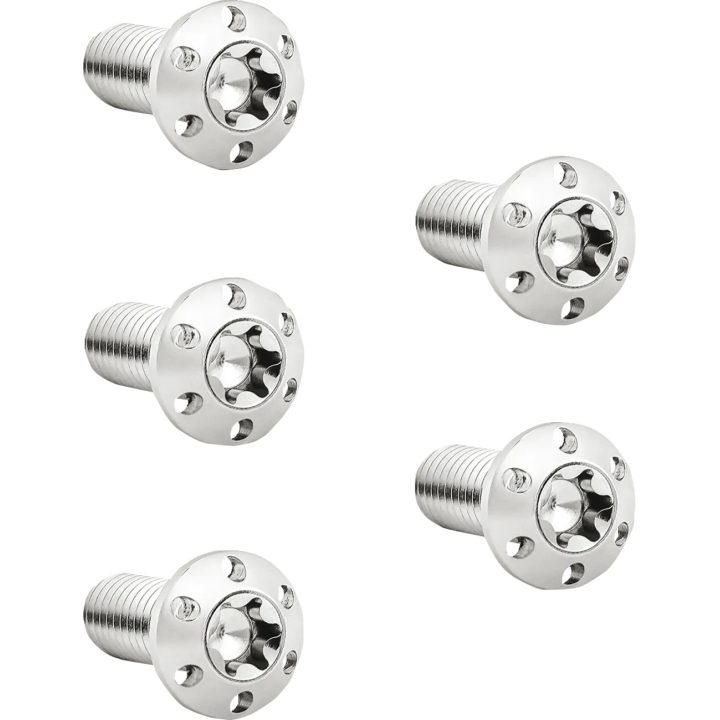 Holeshot Brake Rotor Bolt Kit — Titanium, 5/16-18 x 22.2 mm