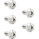 Holeshot Brake Rotor Bolt Kit — Titanium, 5/16-18 x 22.2 mm