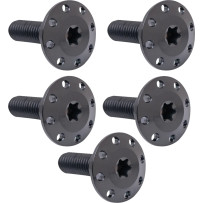 Holeshot Front Floating Brake Rotor Bolt Kit — Titanium, Black, Polished