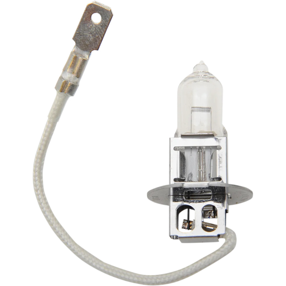 Halogen Headlight Bulb — 12V, 35W, PK22s (H3), White