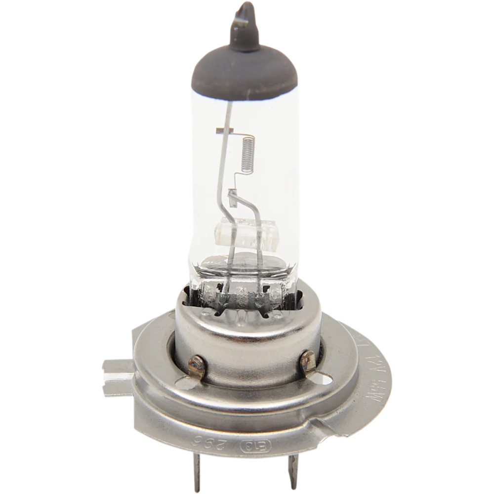 Halogen Headlight Bulb — 12V 55W, PX26d (H7), white