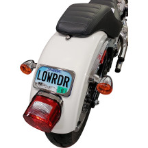 Large Radius Three-Bolt Style License Plate Mount Assembly — 10 cm (4") H, 18 cm (7") L, rear, chrome