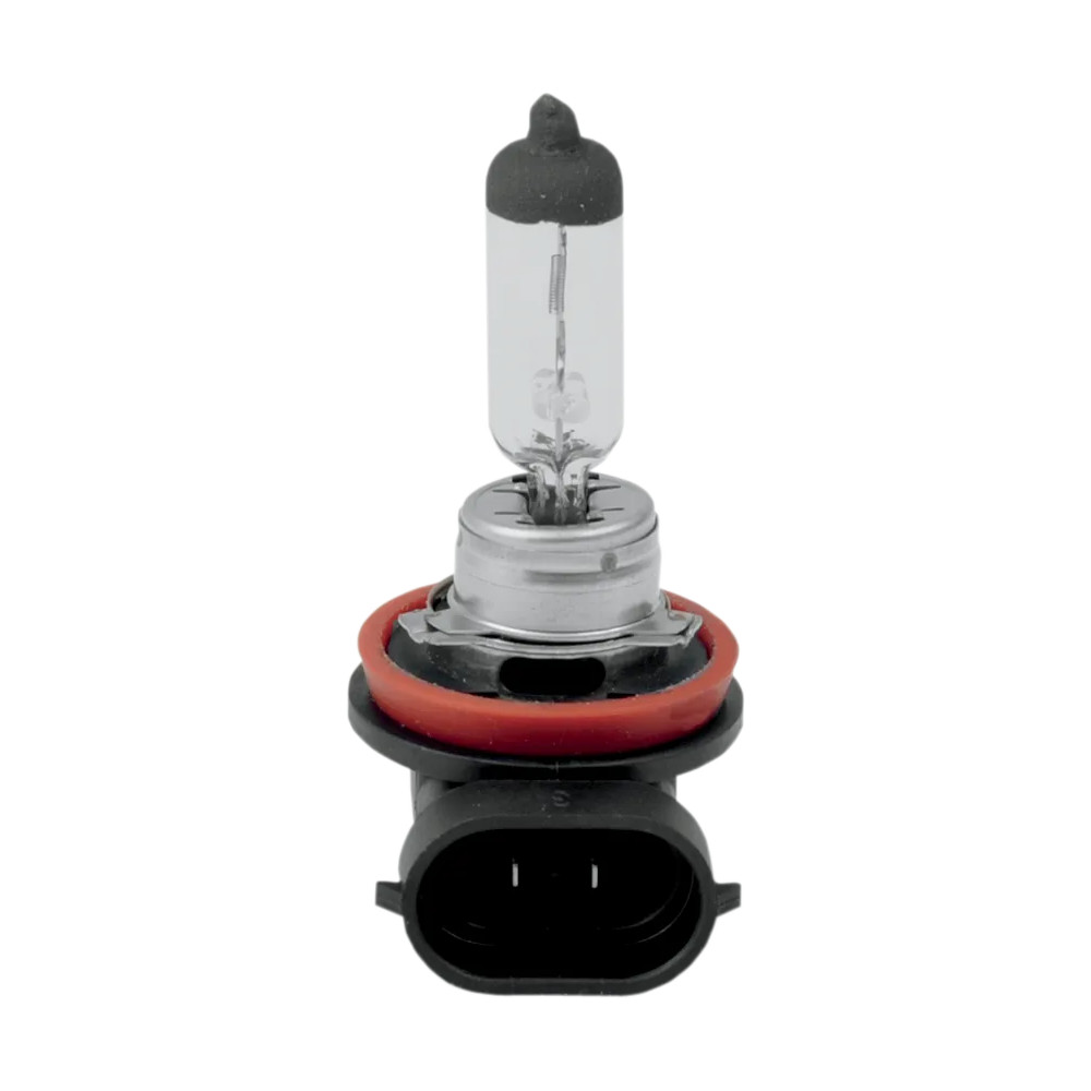 Bombilla halógena para faro — 12V 55W, PGJ19-2 (H11), Blanco