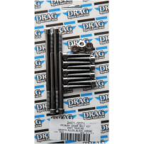 Primary Cover Bolt Kit — Black, Chrome