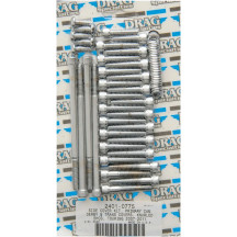 Juego de pernos para tapa lateral primaria/transmisión/derby — cromado, plateado, para tapas primarias, laterales de transmisión