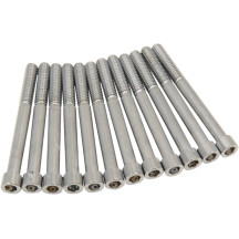 M-Eight Kit de pernos — cárter, cromado, plateado