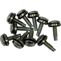 Screw Mount Kit — 8-32 × 12.7 mm (1/2"), fuel pump top plate, 10-pack, silver