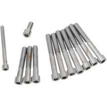 Primary Cover Only Bolt Kit — Chrome, Silver