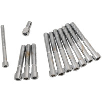 Primary Cover Only Bolt Kit — Chrome, Silver