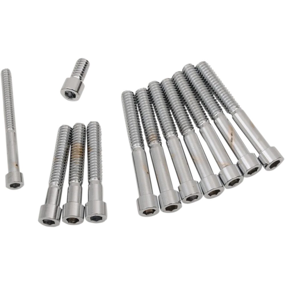 Primary Cover Only Bolt Kit — Chrome, Silver