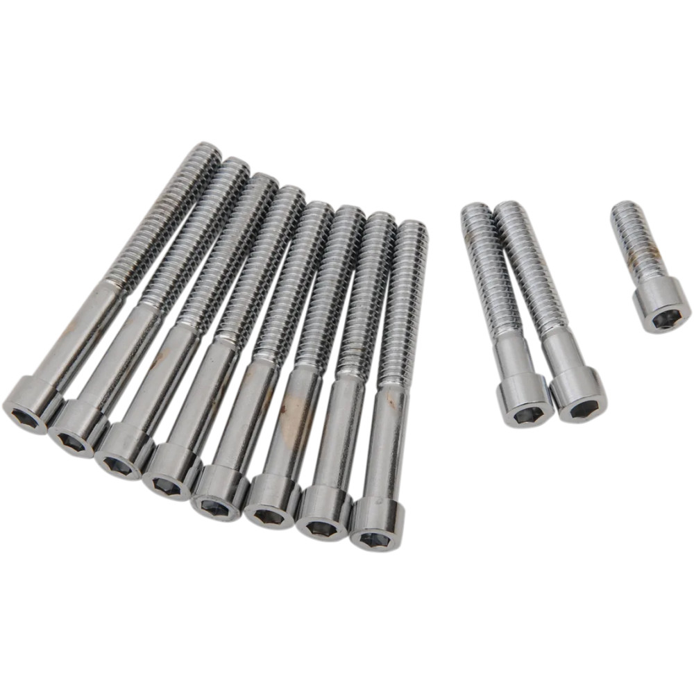 Primary Cover Only Bolt Kit — Chrome, Silver