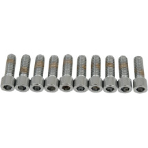 Socket-Head Bolts — 20 mm (3/4"), 10 pack, Silver