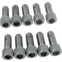 Tornillos de cabeza Allen — 20 mm (3/4"), paquete de 10, plateado