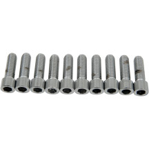 Tornillos de cabeza hexagonal interior — 1" de longitud, paquete de 10, plateado