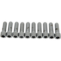 Tornillos de cabeza hexagonal interior — 1" de longitud, paquete de 10, plateado